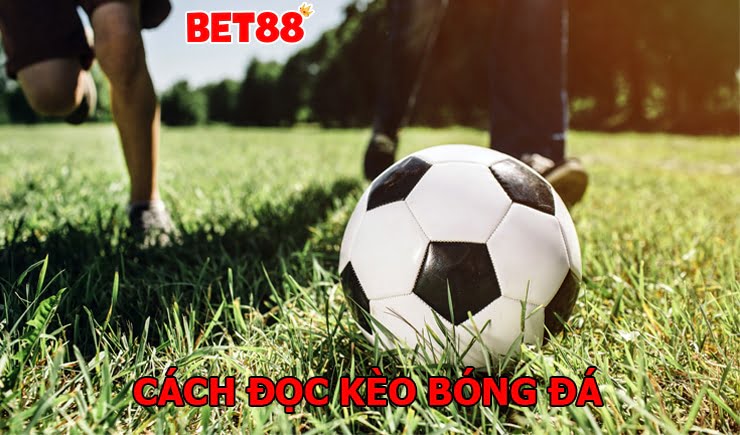 Hướng dẫn cách đọc kèo bóng đá dễ hiểu cho người chơi mới
