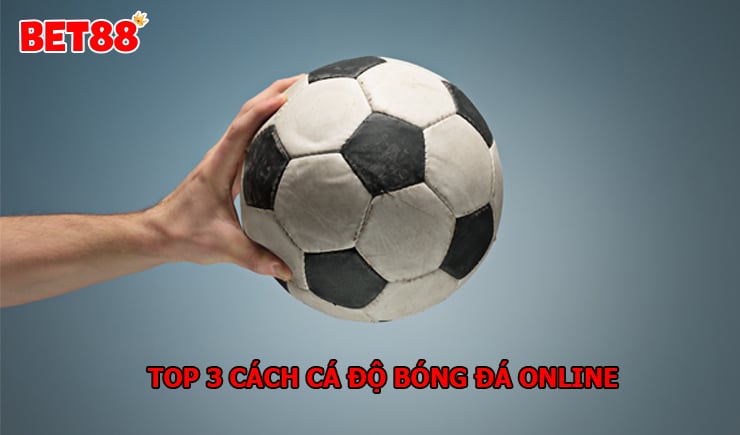 TOP 3 cách cá độ bóng đá online nắm chắc phần thắng