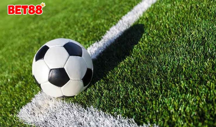 TOP 5 phần mềm bào cỏ được sử dụng trong bóng đá hiện nay